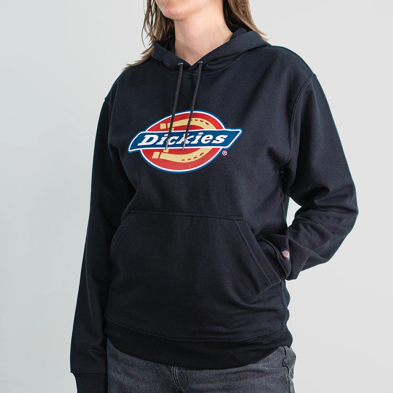 Dickies x Green Day Bad Year Blimp Water Repellent Hoodie - Image 3